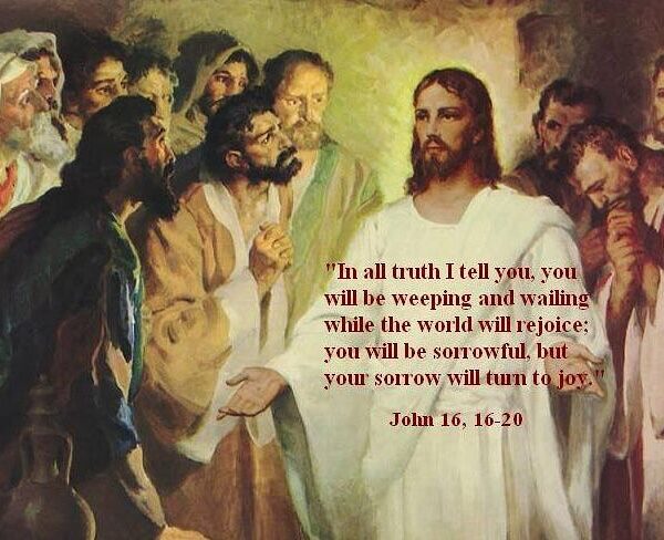 “Faith is to believe what you do not see; the reward of this faith is to see what you believe.” – St. Augustine. • • • #coptic #orthodox #dailyreadings #sayingsofthefathers #faith #orthodoxy #copticorthodox #christianity #liturgy #gospel #praise #grace #hope #faithful #copticfathers #saints #ukmidcopts