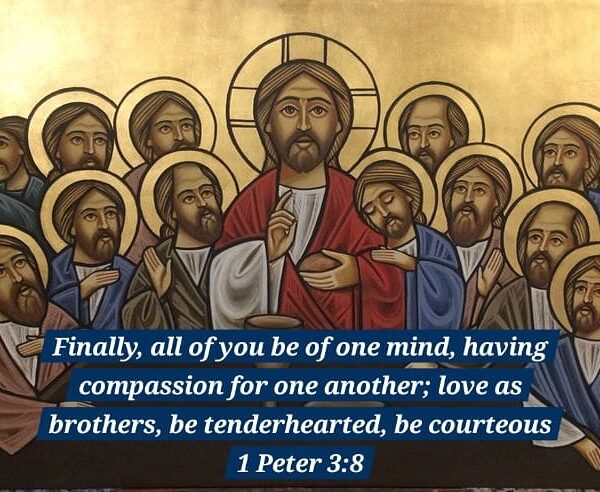 “Join in with Christ in comforting others, be a big heart which suffers with those those who suffer, visits the sick, comforts the broken hearted, helps to solve people’s problems, or at least prays for others and comforts them in their tribulations and helps them to follow God” H.H. Pope Shenouda III • • • #coptic #orthodox #dailyreadings #sayingsofthefathers #faith #orthodoxy #copticorthodox #christianity #liturgy #gospel #praise #grace #hope #faithful #copticfathers #saints #ukmidcopts