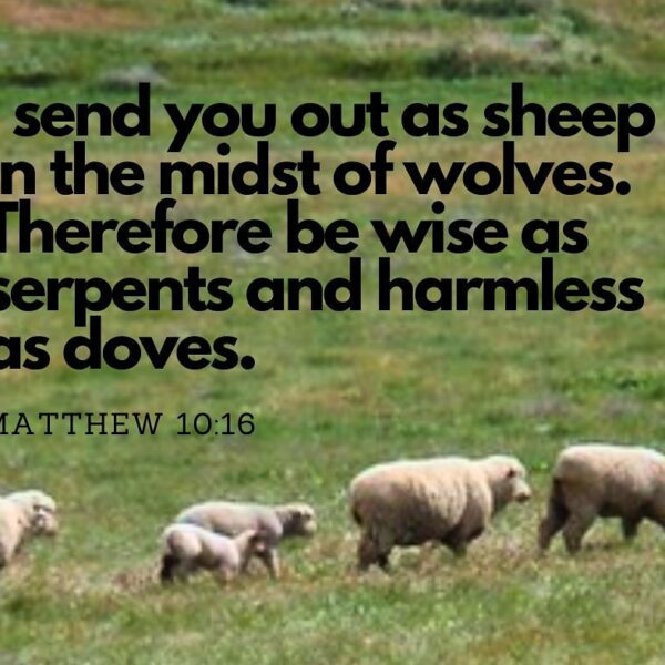 “Escape to God alone if you want to escape from Him. Escape by confessing and not by hiding. Tell Him ‘You are my shelter’ and so let the only love, which grants life, to grow inside you.” – St. Augustine • • • #coptic #orthodox #dailyreadings #sayingsofthefathers #faith #orthodoxy #copticorthodox #christianity #liturgy #gospel #praise #grace #hope #faithful #copticfathers #saints #ukmidcopts
