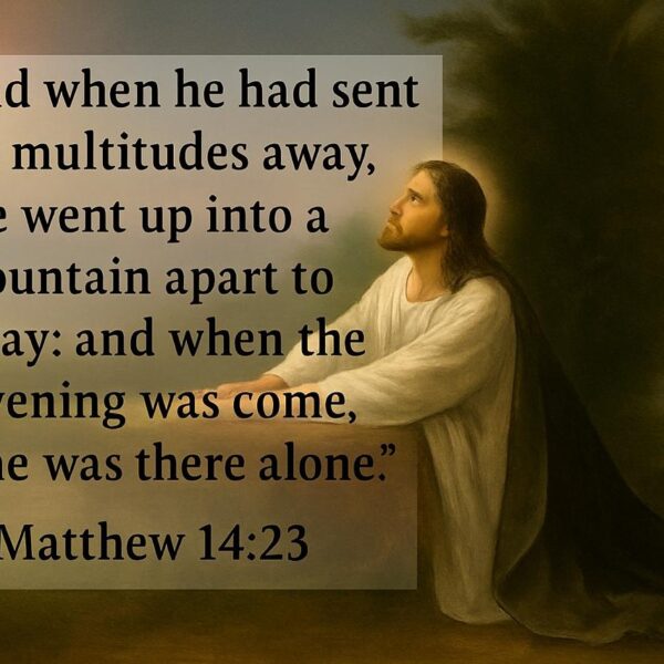 “Cast all your care upon the Lord, throw yourselves wholly and entirely upon Him. He will not withdraw Himself that you should fall.” – St. Augustine. • • • #coptic #orthodox #dailyreadings #sayingsofthefathers #faith #orthodoxy #copticorthodox #christianity #liturgy #gospel #praise #grace #hope #faithful #copticfathers #saints #ukmidcopts