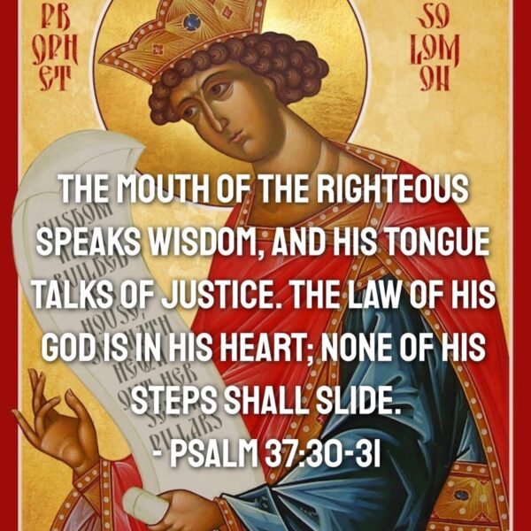 “Do not fear the harshness of a situation, however difficult it seems, for God has many ways of solving it. For God is Omnipotent. Wisdom is to look at matters with the eyes of God, for He is the One who permitted it, and He is able to take it away if He wills.” – H.H. Pope Shenouda III • • • #coptic #orthodox #dailyreadings #sayingsofthefathers #faith #orthodoxy #copticorthodox #christianity #liturgy #gospel #praise #grace #hope #faithful #copticfathers #saints #ukmidcopts