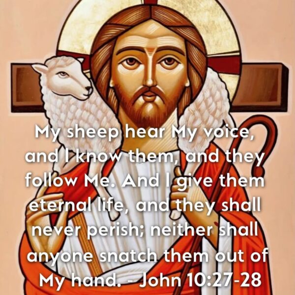 “Let me find You whom I so longingly seek. I am the sheep who wandered into the wilderness. Seek after me and bring me home again to Your fold.” – St. Jerome • • • #coptic #orthodox #dailyreadings #sayingsofthefathers #faith #orthodoxy #copticorthodox #christianity #liturgy #gospel #praise #grace #hope #faithful #copticfathers #saints #ukmidcopts