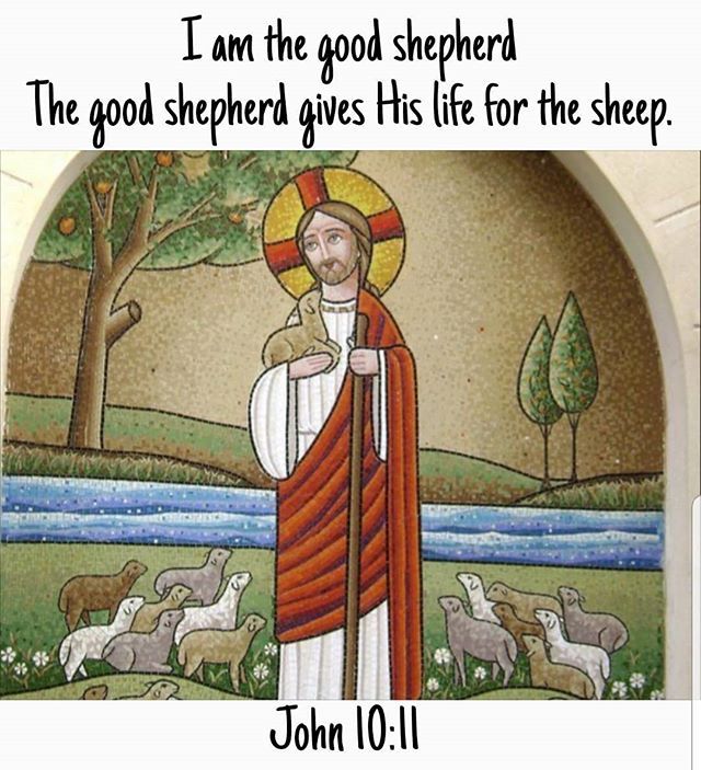 No manner of speech can measure the depth of Your love towards mankind - St Gregory the Theologian . . #dailyreadings #copticorthodox #orthodoxy #goodshepherd