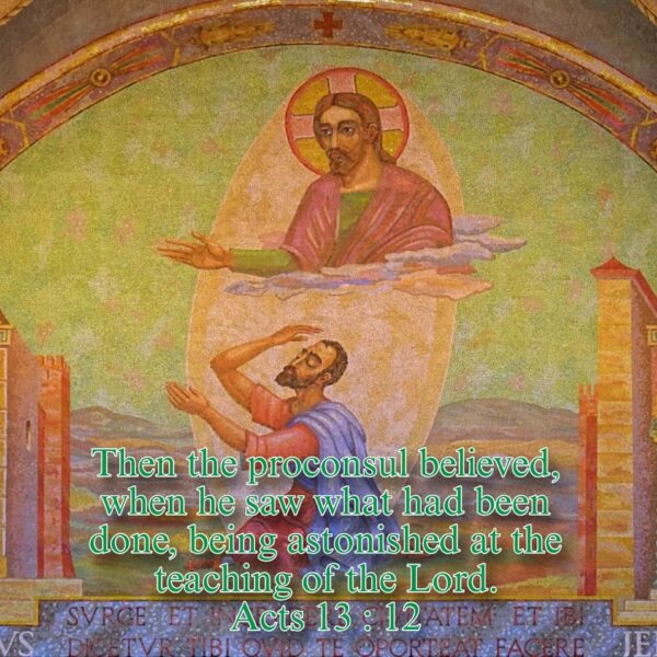 “Tribulations are a school; they teach a man prayer, they teach a man fasting, they teach a man vowing, they lead him to repentance.” – H.H. Pope Shenouda III • • • #coptic #orthodox #dailyreadings #sayingsofthefathers #faith #orthodoxy #copticorthodox #christianity #liturgy #gospel #praise #grace #hope #faithful #copticfathers #saints #ukmidcopts
