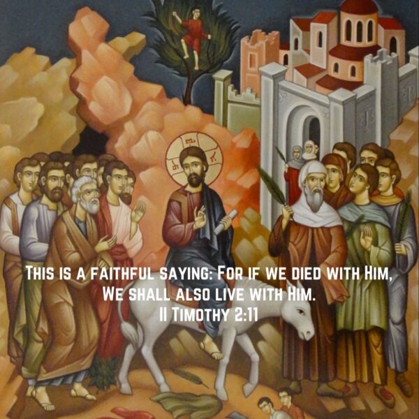 “It is a great dignity and such a true honour for man to live as a servant of the Lord rather than sin.” – St. Jerome • • • #coptic #orthodox #dailyreadings #sayingsofthefathers #faith #orthodoxy #copticorthodox #christianity #liturgy #gospel #praise #grace #hope #faithful #copticfathers #saints #ukmidcopts