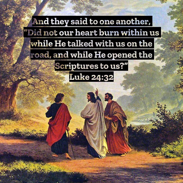 “Love the Bible and wisdom will love you.” – St. Jerome #christisrisen #copticorthodox #coptic #christianity #scriptures