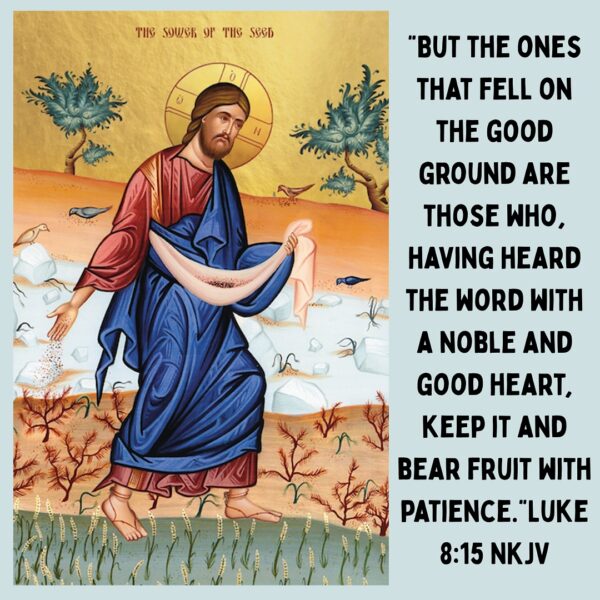 “As I wandered farther and farther away from God I sowed more seeds that would yield no harvest but sorrow.” – St. Augustine • • • #coptic #orthodox #dailyreadings #sayingsofthefathers #faith #orthodoxy #copticorthodox #christianity #liturgy #gospel #praise #grace #hope #faithful #copticfathers #saints #ukmidcopts