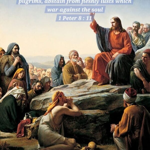 “Enjoy tiredness, because the tiredness of the flesh brings about the purity of the heart and purity of the heart causes the soul to bear fruits.” – St. Anthony the Great • • • #coptic #orthodox #dailyreadings #sayingsofthefathers #faith #orthodoxy #copticorthodox #christianity #liturgy #gospel #praise #grace #hope #faithful #copticfathers #saints #ukmidcopts