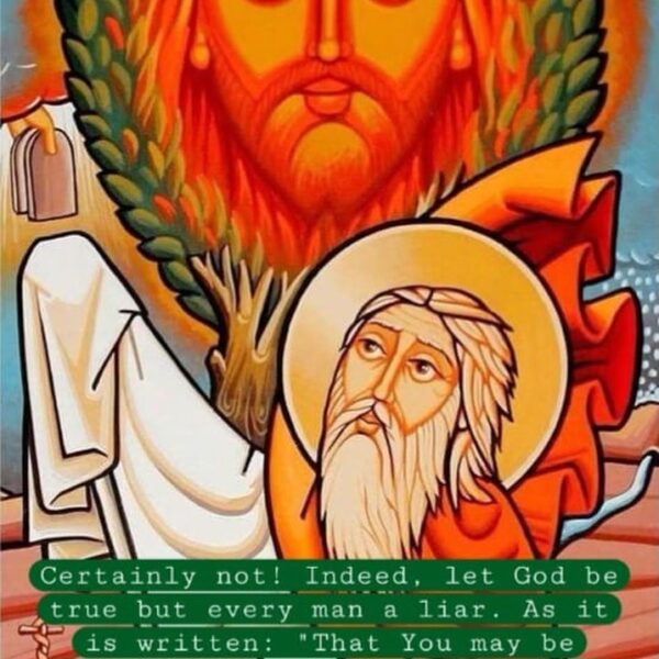 “The more have been your trials, look for a more perfect reward from your Just Judge. Do not take your present troubles ill. Do not lose hope.” – St. Basil the Great • • • #coptic #orthodox #dailyreadings #sayingsofthefathers #faith #orthodoxy #copticorthodox #christianity #liturgy #gospel #praise #grace #hope #faithful #copticfathers #saints #ukmidcopts