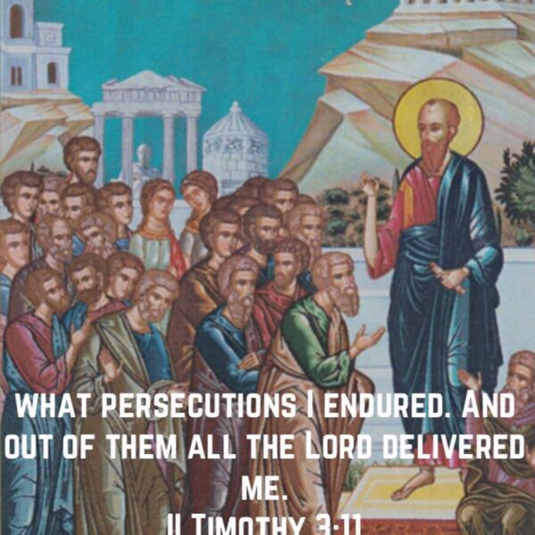 “He that is freed owes obedience to his deliverer. Therefore, we who desire to be Christians should imitate what Christ said and did.” – St. Cyprian of Carthage • • • #coptic #orthodox #dailyreadings #sayingsofthefathers #faith #orthodoxy #copticorthodox #christianity #liturgy #gospel #praise #grace #hope #faithful #copticfathers #saints #ukmidcopts