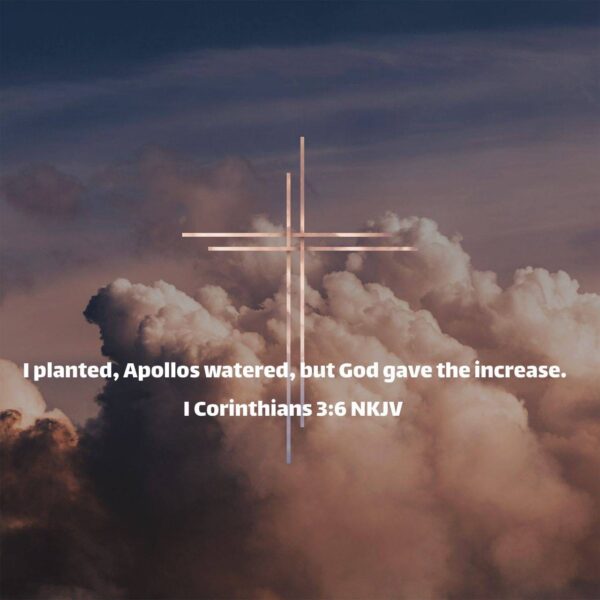 “Pray as though everything depended on God. Work as though everything depended on you.” – St. Augustine • • • #coptic #orthodox #dailyreadings #sayingsofthefathers #faith orthodoxy copticorthodox christianity liturgy gospel praise grace hope faithful copticfathers saints ukmidcopts