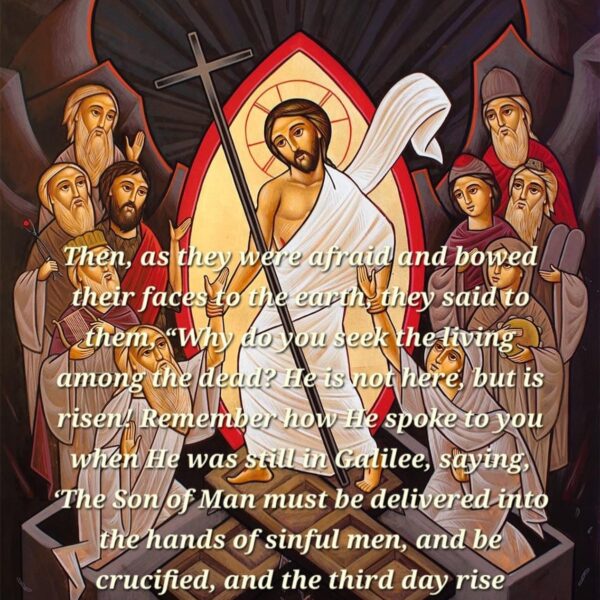 Bright Saturday “The Feast of the Resurrection is a new chance for everyone. So as Jesus rises from the dead, then that is how we dwell in the new life.” – H.H. Pope Shenouda III