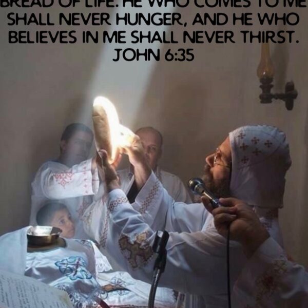 “Recognise in this Bread what hung on the Cross, and in this Chalice what flowed from His side.” – St. Augustine