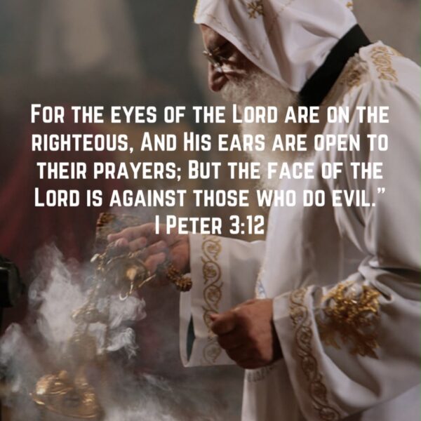 “We are renewed day by day by making progress in our righteousness and true holiness through the knowledge of God. For those who do so transfer their love from temporal things to eternal things, from visible things to invisible things, from fleshly things to spiritual things.” – St. Augustine