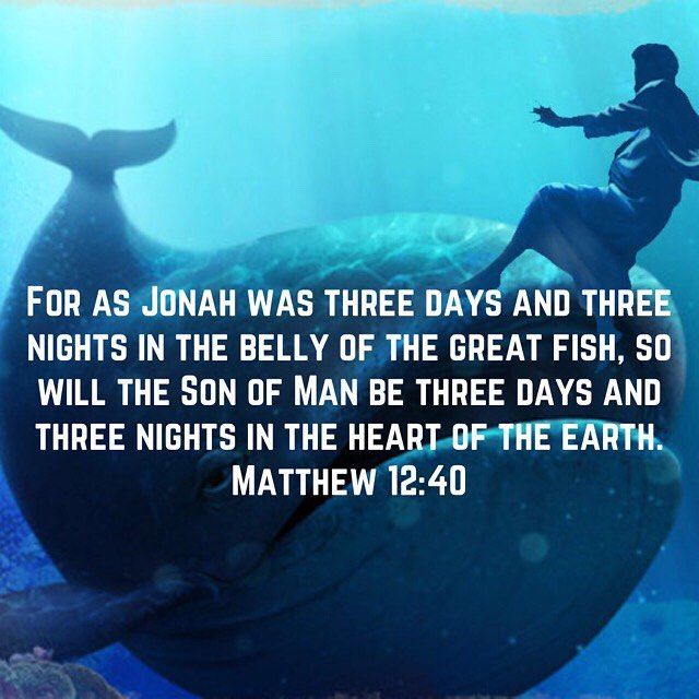 "God does rescue the holy from affliction but He does so not by rendering them untested but by blessing them with endurance."- St. Basil the Great #copticorthodox #coptic #dailyreading #christianity #jonah #loveofgod