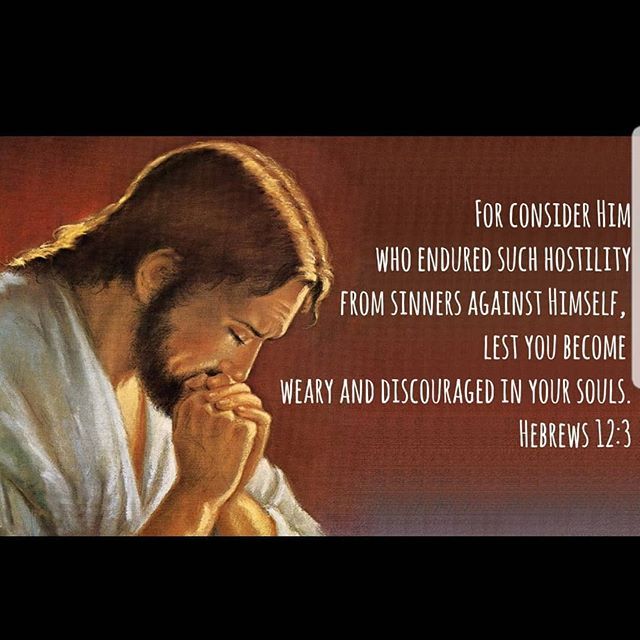 He was silent and quietly endured everything to teach us all meekness and long suffering. Let us now imitate Him. - St John Chrysostom . . #suffering #endurance #longsuffering #patienceintribulation #dailyreadings #copticorthodox #orthodoxy of