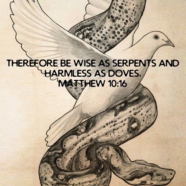 "For our victory is won and the crown of our victory is gained by His protection and through His shield." - St. Jerome #dailyreading #bibleverse #wordofgod #faith #godslove #coptic #copticorthodox #christianity